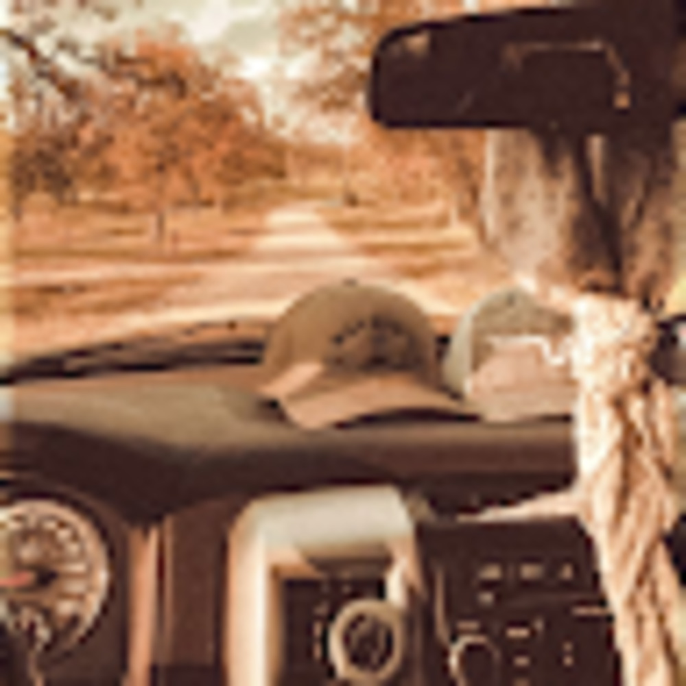 Meet your Posher, Lexi